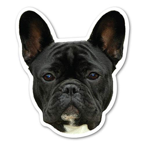 (Black) French Bulldog Magnet