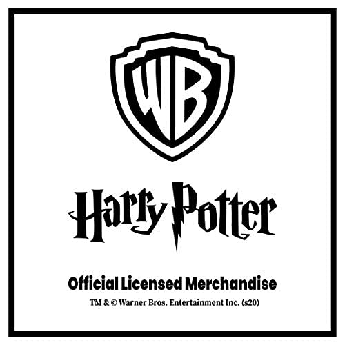 Epic Stuff - Harry Potter Decorative Slytherin Table Clock (with Numbers) - Officially Licensed by Warner Bros, USA
