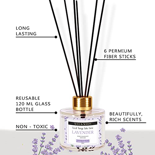 Soul & Scents Glass Lavender Reed Diffuser Set with 6 Fiber Reed Sticks|Toxin Free & Stress Relief|Fine-Living Natural Fragrance|Long Lasting|Smoke Less Room Freshener for Home, Bedroom|120ml