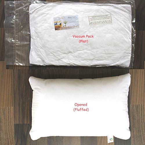 STITCHNEST Hotel Quality Premium Fibre Soft Filler Cushion Set of 2 (12x18 Inches)