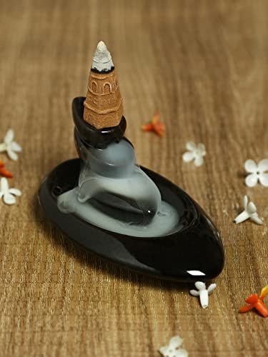 TAYHAA Black Resin Smoke Fountain with Backflow Incense Cone