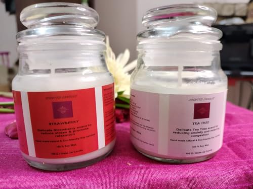 Tea Tree & Strawberry 2X100 GMS Each,Pack of 02,Organic Hand Made Natural Aroma Candles 100% Soy Wax,Fragrance up to 25Hrs,Best Gift,Scented Candles for Home Decor