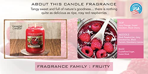 Yankee Candle Classic Jar Scented Candles - Pink Sands and Red Raspberry, 248 g (Pack of 2)