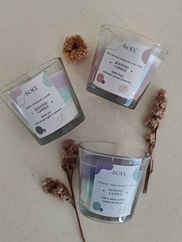 SOEL Tri-Cone Color Block Candles - Pack of 2 (Lavender + Winterbirchwood + Jasmine & Frosted Juniper + Jasmine + Vanilla)