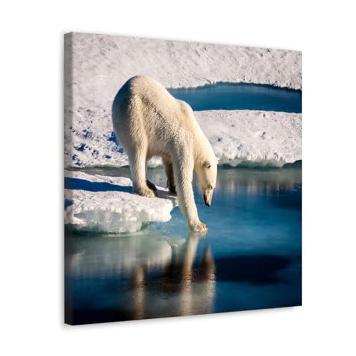 GADGETS WRAP Canvas Gallery Wrap Framed for Home Office Studio Living Room Decoration (17x17inch) - Polar Bear On Melting Ice Cap