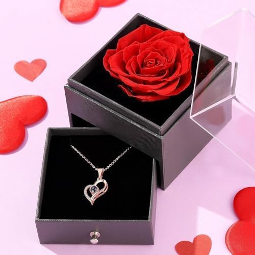 TIED RIBBONS Birthday Gift for Girls Girlfriend Wife Mom Mother Girls Women Friends Anniversary Wedding Gift Preserved Red Rose Flower Box with I Love You in 100 Languages (Golden Necklace)