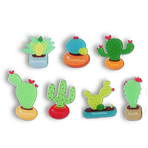 UBERSWEET® 1X(Cactus Magnets Refrigerator Magnet Fridge Magnet Cactus Kitchen Magnets B3Z7