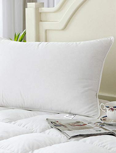 Story@Home Luxurious 2 Piece Microfibre Pillow Set - 16"x24", White