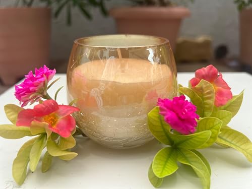 BAASARN Candless Crack Jar Scented Candle 100% Soy Wax Aromatic Candles for Home Decore & Gifting Decorative Scented Candle (Jasmine)