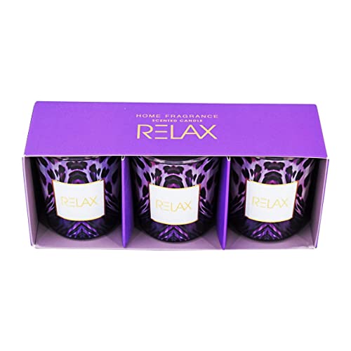 Soy Wax Scented Candle in Glass Jar for Home Fragrance and Home Decoration (15H Burn Time) (AXW2050-C)