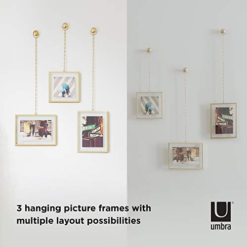 Umbra Steel Fotochain Photo Display (20.32 cm x 15.24 cm x 7.62 cm, Matte Brass)