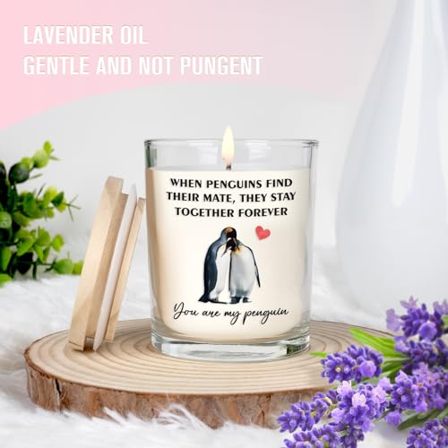 Anniversary Candle Gifts for Women Men, Funny Gifts for Him Her Engagement Gifts for Couples You are My Penguin Birthday Presents for Her Girlfriend Him Boyfriend