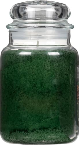 Yankee Candle Company Balsam & Cedar Large Jar Candle