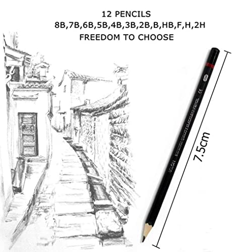 INOVERA (LABEL) 12 Set Professional Drawing Art Sketch Graphite Pencils, 2H, H, F, Hb, B, 2B, 3B, 4B, 5B, 6B, 7B, 8B, Black (Pack Of 1 (12 Pencils))