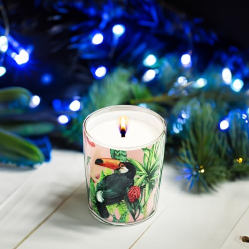 Treasure Hunt® Enameled jar Candle Gift Box Magic Fruit Fragrances for Gift & Home Décor