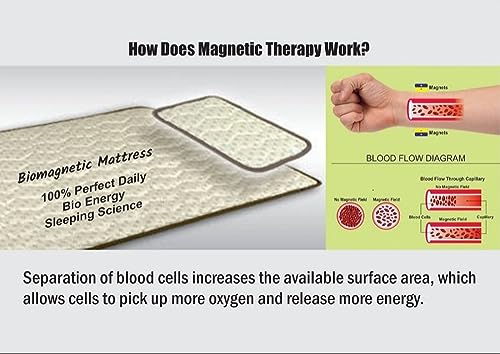 GT Enterprise BIO Magnetic Mattress Protector with 1 Pillow (3X6 feet) Maroon