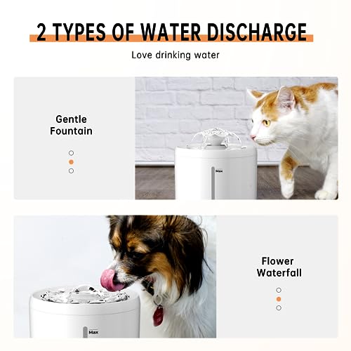 Cat Water Fountain Intelligent Models 1.2W 2L