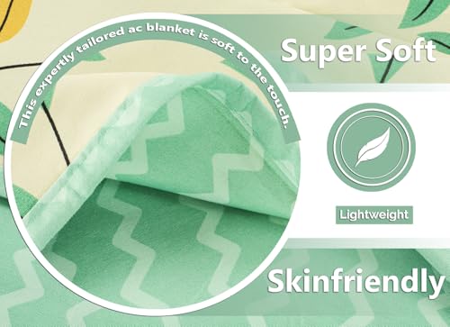 BSB HOME Cotton Super Soft Brushed Microfiber Cotton 2 Layer Breathable Double Bed Dohar Lightweight Summer | AC | All Season Blanket Dohar 84X96(Inches) 213X243(CM) Cotton Pista & Light Green