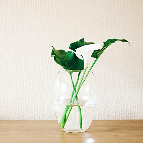 Vijyas Glass Oval Shape Flower Vase Clear Home Decor Flower Vases