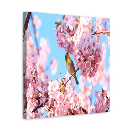 GADGETS WRAP Canvas Gallery Wrap Framed for Home Office Studio Living Room Decoration (17x17inch) - Bird On Pink Cherry Flower