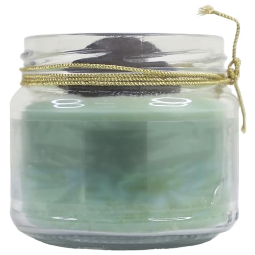 Alluring Artsy Alluring Candle for Home Decor | Long Lasting | for Gifting (Transparent, Single)