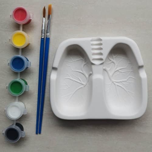 CALANDIS Creative Funny Cigar Ashtray Home Decoration Novelty Gift Lungs Shaped