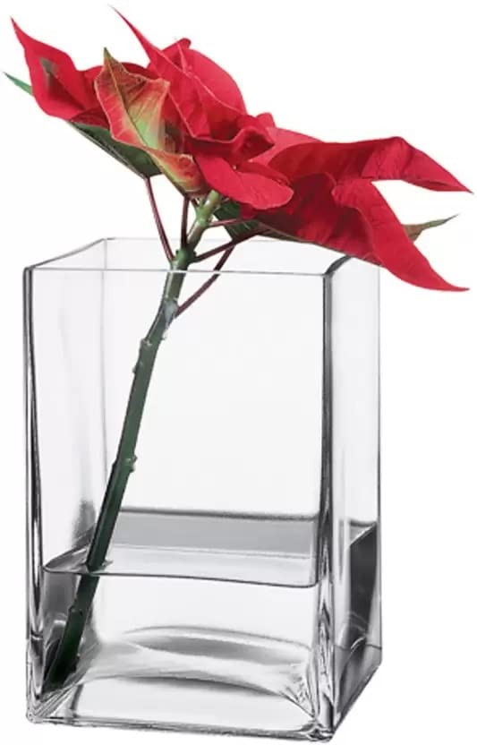 Ak Glass Vase | 6 Inch Glass Vase | Rectangular Glass Vase | Decorative Glass Vase | Transparent Glass Vase