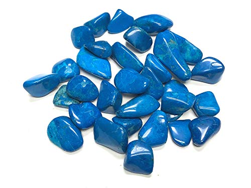 Zentron Crystal Collection: 1 Pound Tumbled Blue Howlite