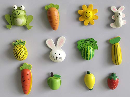 SuperBasics Mix Wooden Fridge Magnets | Randomly Selected 12 Pieces