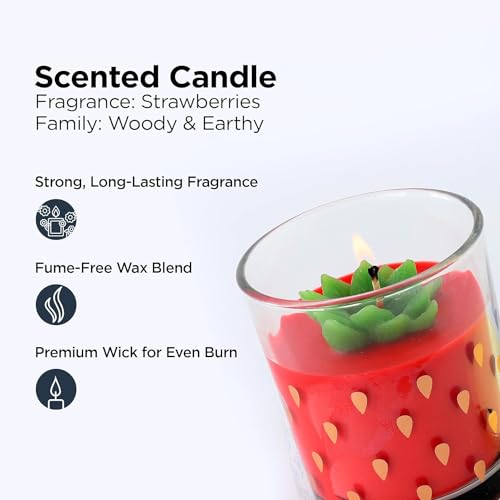 Urbane Home Scented Candles | Fragrance Candles | Candles for Wedding | Candles for Bedroom | Birthday Candles | Valentines Day Gifts Candles | DY-230709B | Transparent