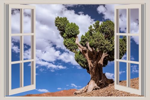 JVERF - JZZA28231 Sky Morocco Africa Tadla Azilal Clouds Trees| Self-Adhesive Open Window Wall Sticker