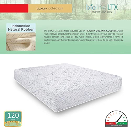 Coirfit Biolife LTX 6 Inch with HerbFRESH Technology King Size Latex Mattress (Off-White, 78X72X6)