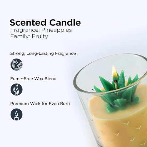 Urbane Home Scented Candles | Fragrance Candles | Candles for Wedding | Candles for Bedroom | Birthday Candles | Valentines Day Gifts Candles | DY-230709A | Transparent