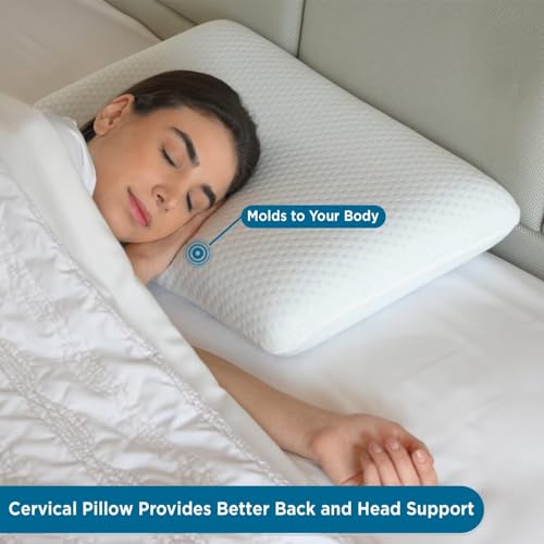 HomeHive Memory Foam Pillow Neck & Shoulder Lumbar Pain Relief Contour Cervical Super Soft & Fluffy-PO1(S_K_E_20022052_Off White)