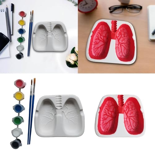 SHUBNALI Creative Funny Ashtray Home Decoration Novelty Gift Lungs Shaped