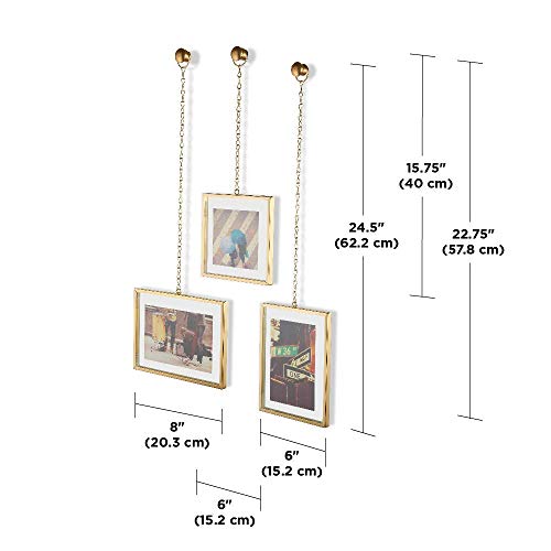Umbra Steel Fotochain Photo Display (20.32 cm x 15.24 cm x 7.62 cm, Matte Brass)