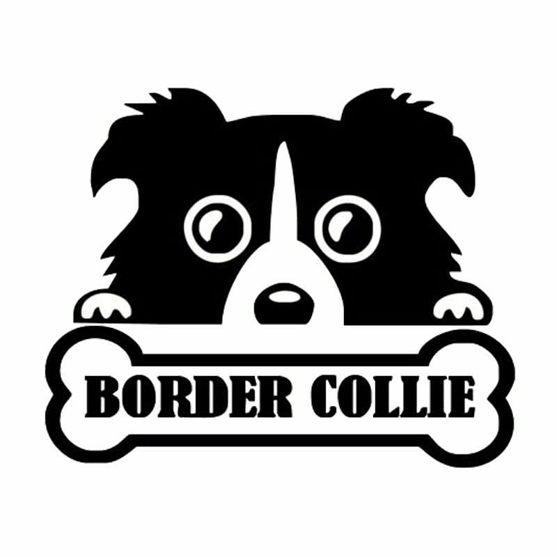 GADGETS WRAP Vinyl Wall Decal Sticker Personalized Animal Border Collie Personality Bone Cute Fashion Car