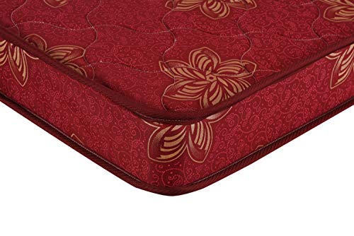 Coir FIT Beetle with 36 Years of Trust�for COIRFIT 4-inch Queen Size Rebonded Foam Mattress with EPE Foam Core (84x66x4)