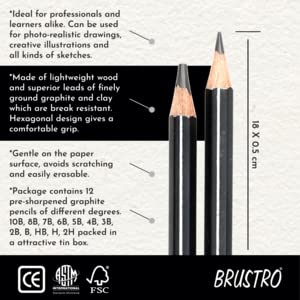 BRUSTRO ARTISTS’ FINEART GRAPHITE PENCIL SET OF 12 (10B-2H) + Free 2 Brustro ECO-PVC Dust-free erasers worth Rs24