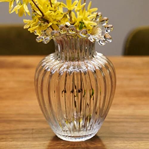 CLUB BOLLYWOOD® Glass Flower Vase Decorative Hydroponic Plants Pot Containers 14x21cm| Home & Garden | Home D?©cor | Vases | Vases