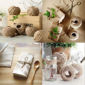 Desiderio Jute Thread Twine Cord/Burlap Thick: 2 mm, Length: 120 m (Natural)