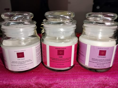 Tea Tree, Rose & Lavender 3X100 GMS Each, Pack of 03, Organic Hand Made Natural Aroma Candles 100% Soy Wax, Fragrance up to 25Hrs, Best Gift, Scented Candles for Home Decor