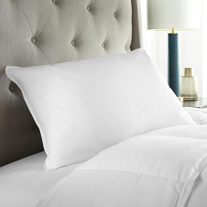 Jewear 10% Goose Down 90% Feather Luxury Cottoon White Pillow Set of 1 Piece (17 X 27 Standard)