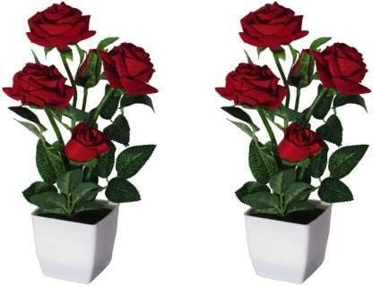 Daissy Raise ) Artificial Flowers (5 Stick Rose) RED Colour with White Plastic Pot for Table Decoration and Gift Purposes (Pack of 2)