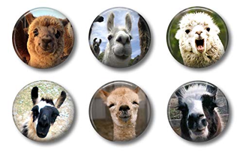 Cute Locker Magnets for Teens - Funny Llamas Alpacas - Fun School Supplies - Whiteboard Office or Fridge - Gift Set