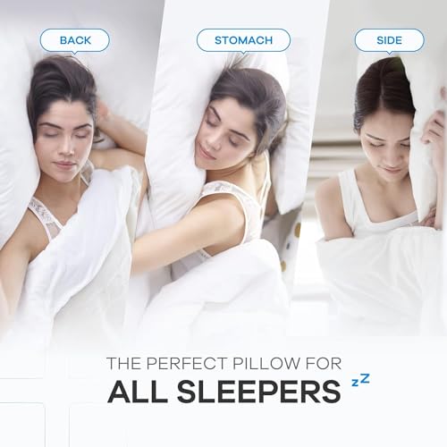 Perfect Sleeper 16x24 Inch Set of 2 Pillows, Soft Density for Stomach and Back Sleepers, Standard, Pack of 2, White, 41 x 61 cm - Plain White