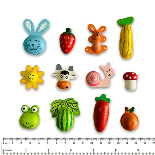 SuperBasics Mix Wooden Fridge Magnets | Randomly Selected 12 Pieces