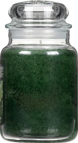 Yankee Candle Company Balsam & Cedar Large Jar Candle