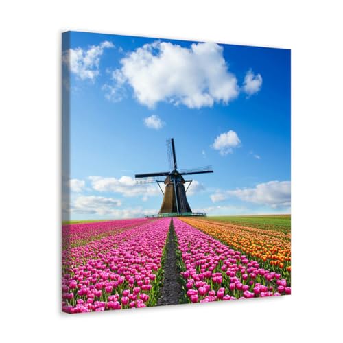 GADGETS WRAP Canvas Gallery Wrap Framed for Home Office Studio Living Room Decoration (10x10inch) - Tulip Flower Field & Wind Mill