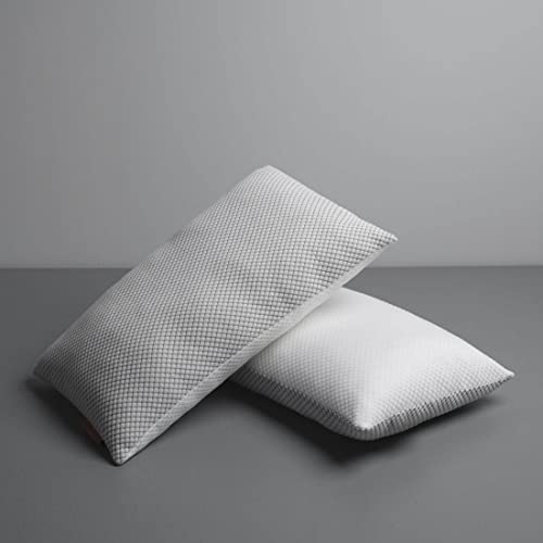 LA VERNE Virgin Microfibre Blown Technology Filled Luxurious Anti Bacterial Cloth Sleeping Pillow Pack of 2 (27X16 Inch) (Silver)